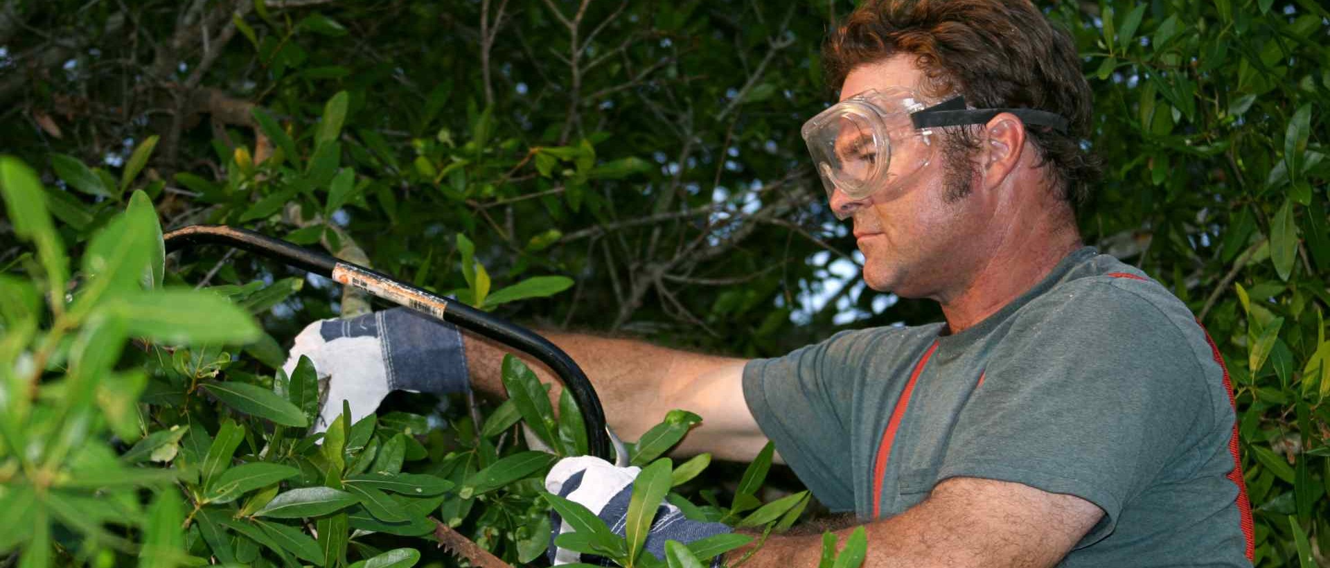 garden clearance DA16